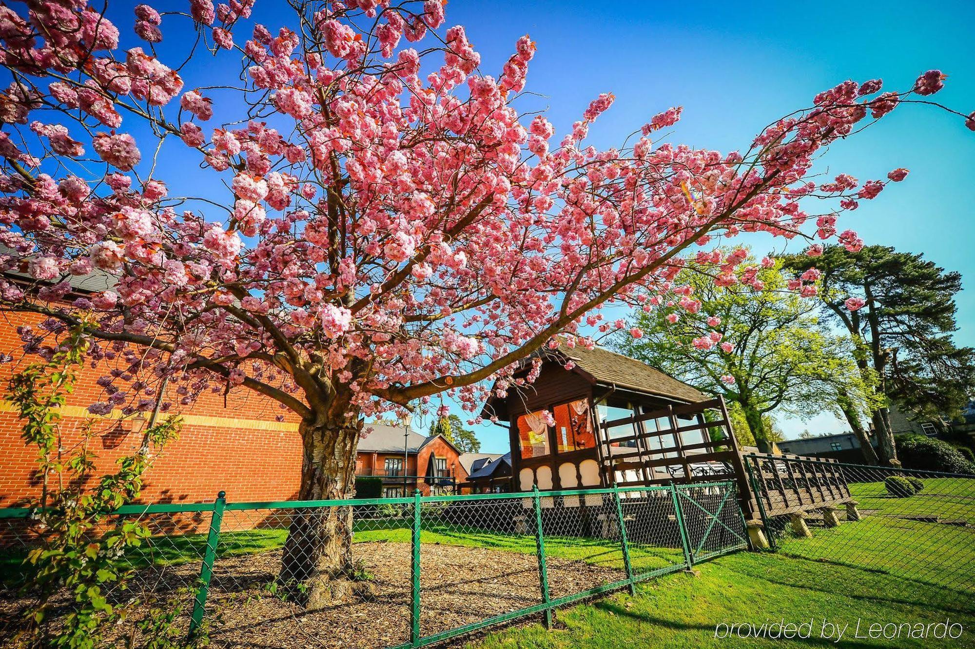 Foxhills Club & Resort Ottershaw Exterior foto